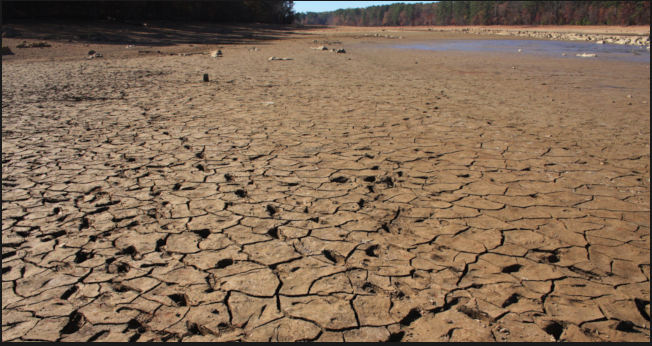 ECOLOGISMO CAMBIO CLIMÁTICO