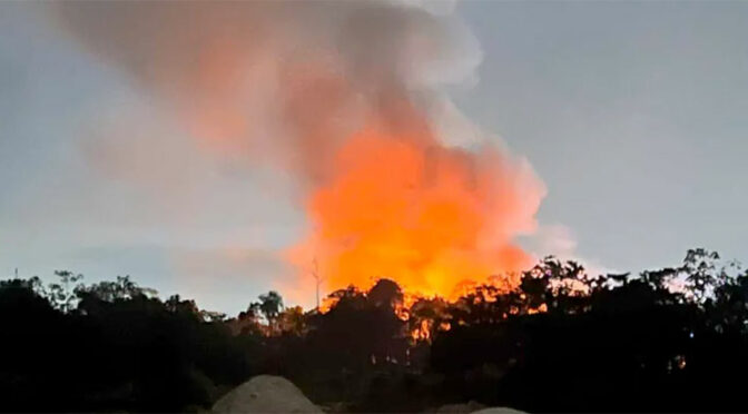 Incendios. Cuando culpamos al bosque