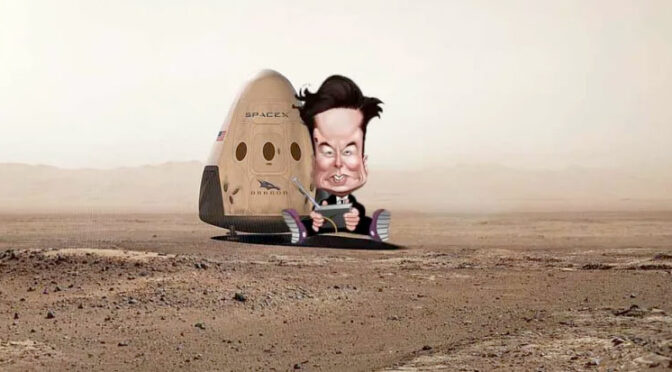 ELON MUSK CAPITALISMO
